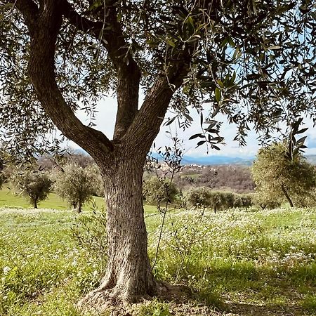 Casa Bozzo, Appartement 'Collina' Case Selva Grande Luaran gambar