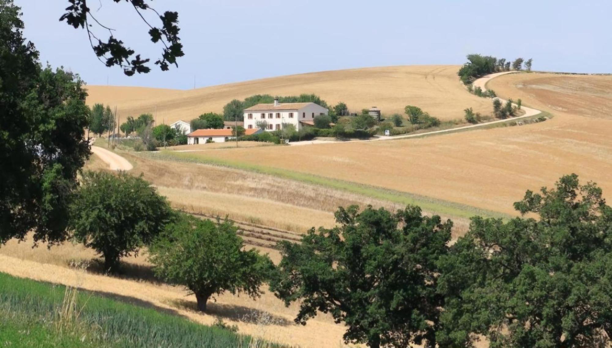 Casa Bozzo, Appartement 'Collina' Case Selva Grande Luaran gambar