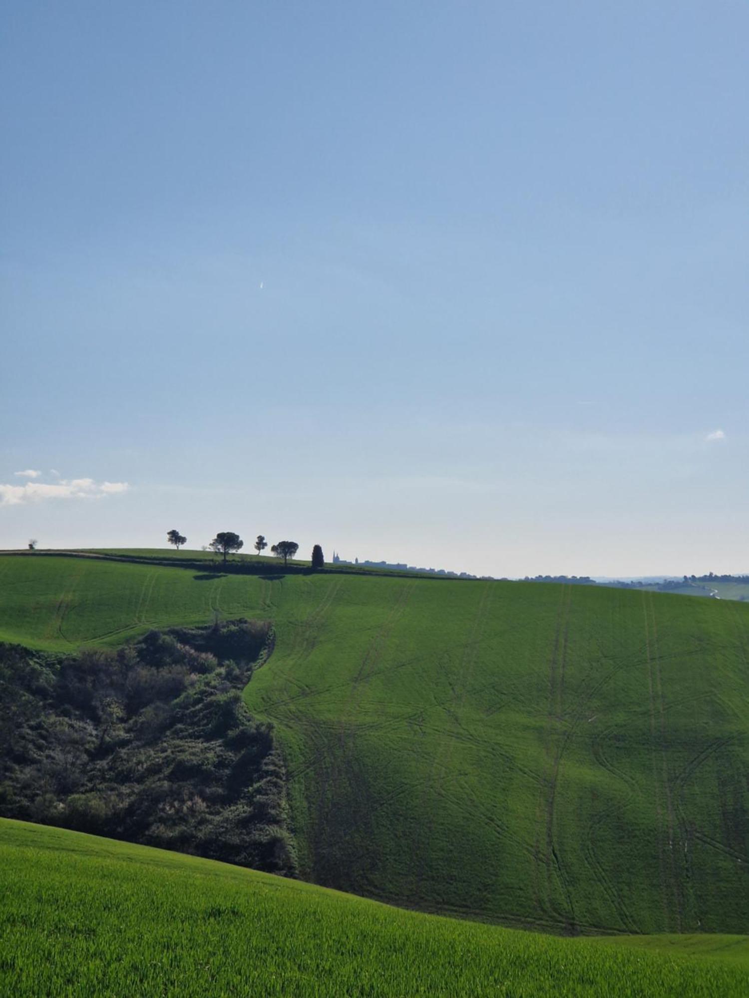 Casa Bozzo, Appartement 'Collina' Case Selva Grande Luaran gambar