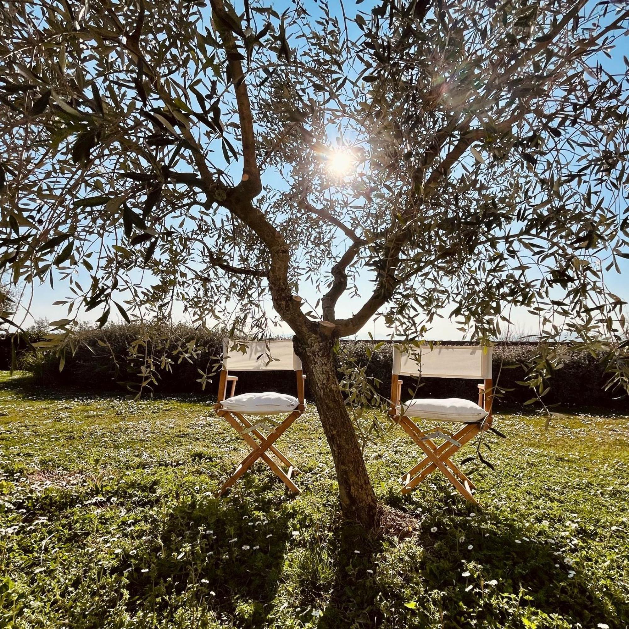 Casa Bozzo, Appartement 'Collina' Case Selva Grande Luaran gambar